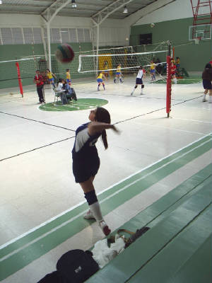 s4010082.jpg