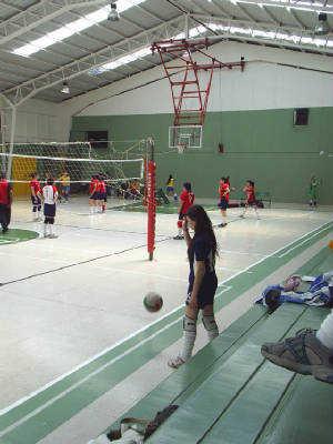 s4010099.jpg