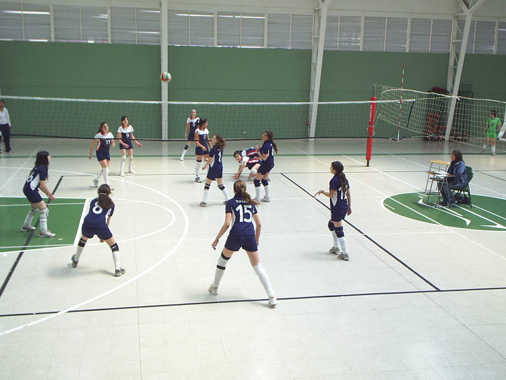s4010115.jpg